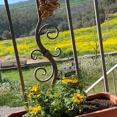 La Caseta Del Sola,turisme Slow A Tora Holiday home *
