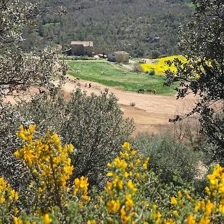La Caseta Del Sola,turisme Slow A Tora Sant Serni de Llanera